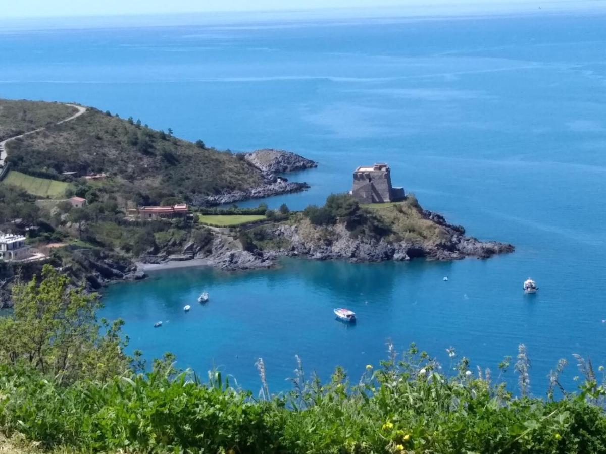 Aria Di Mare B&B Family San Nicola Arcella Eksteriør billede
